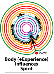 physical events influence the body holon and the spirit holon