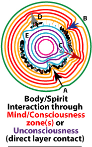 Body holon and spirit holon communicate through the mind holons