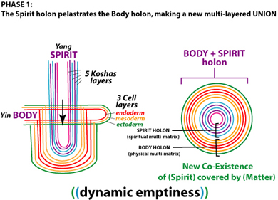 body and spirit connected, mind and body, endodern, mesoderm, ectoderm